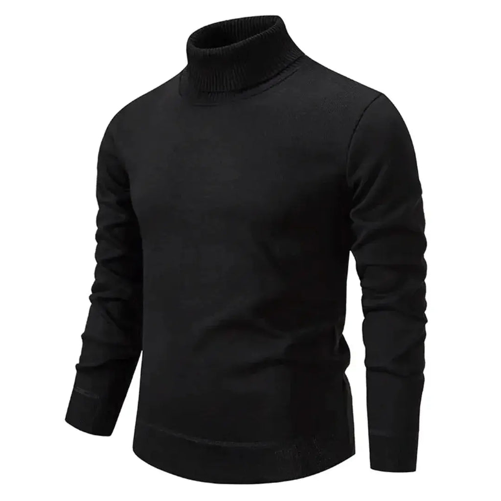Pull homme à col roulé manches longues coupe classique